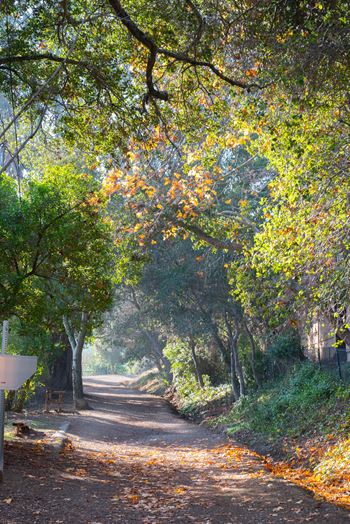 Crystal springs regional trail